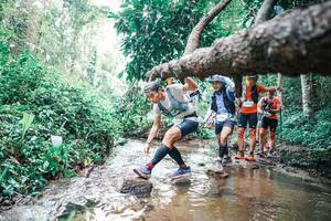 BIB: 
                            <button type="button" onclick="openModal(25372226)" class="btn btn-primary btn-sm float-right btn-popup" data-toggle="modal" data-target=".modal-high-quality">
                        <i class="fas fa-shopping-cart"></i> Add to Cart
                    </button>
                                            <button type="button" onclick="isThisMe(25372226, true)" class="btn btn-success btn-sm float-right btn-popup btn-isme hidden" data-toggle="tooltip" data-placement="bottom" title="นี่คือรูปของคุณใช่ไหม คลิกที่นี่เพื่อเอาเข้าอัลบั้ม">
                        <i class="fas fa-plus"></i> Add to album
                    </button>
                    <button type="button" onclick="isThisMe(25372226, false)" class="btn btn-warning btn-sm float-right btn-popup btn-isnotme hidden">
                        <i class="fas fa-ban"></i> Remove from album
                    </button>